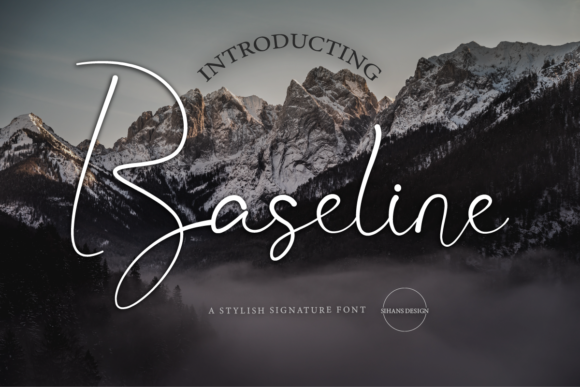 Baseline Font Review for Web Designers