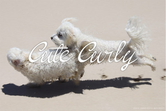 Cute Curly Font for Crafters & Sellers