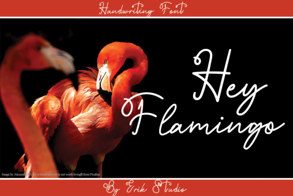Hey Flamingo: A Handwritten Font for Elegant Branding