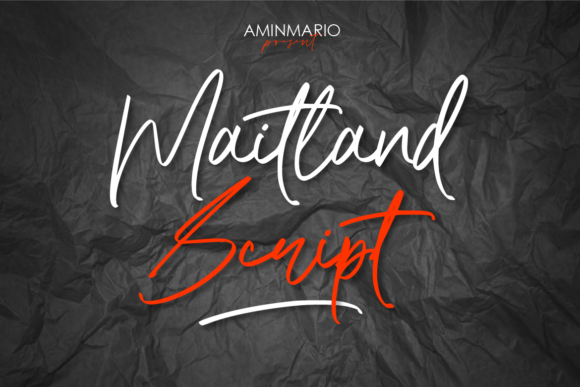 Maitland Font: A Web Designer’s Review